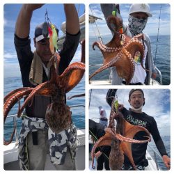 ビッグファイター 釣果