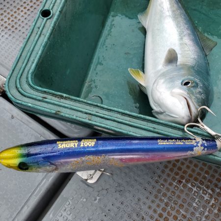 サンマリン 釣果