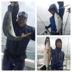 ビッグファイター 釣果