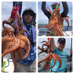 ビッグファイター 釣果