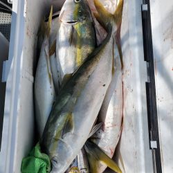 サンマリン 釣果