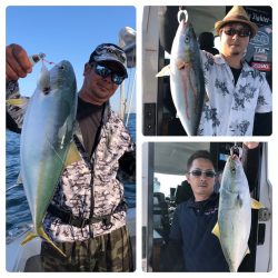 ビッグファイター 釣果