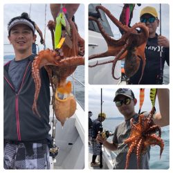 ビッグファイター 釣果