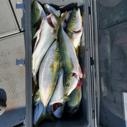 サンマリン 釣果