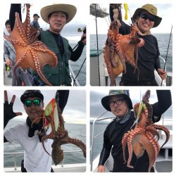 ビッグファイター 釣果