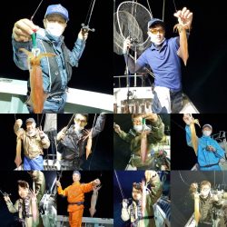 シーライオン 釣果