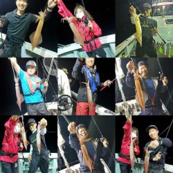 シーライオン 釣果