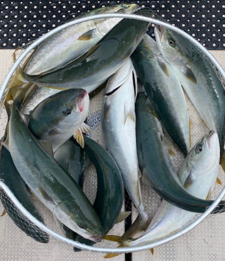 釣人家 釣果