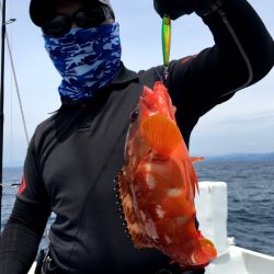 渡船屋たにぐち 釣果