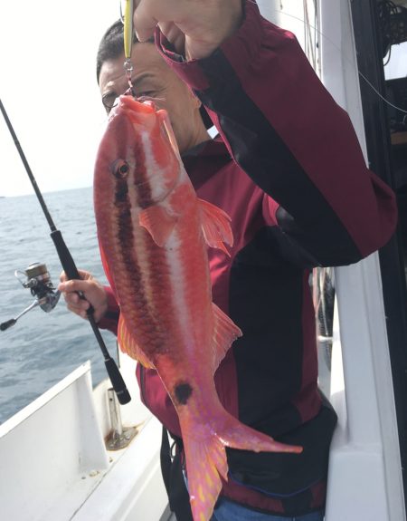 渡船屋たにぐち 釣果