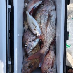 フィッシング キッタカ 釣果