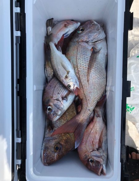 フィッシング キッタカ 釣果