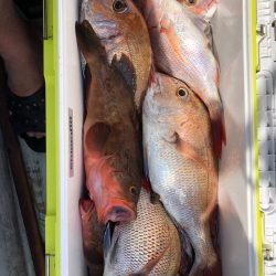 フィッシング キッタカ 釣果