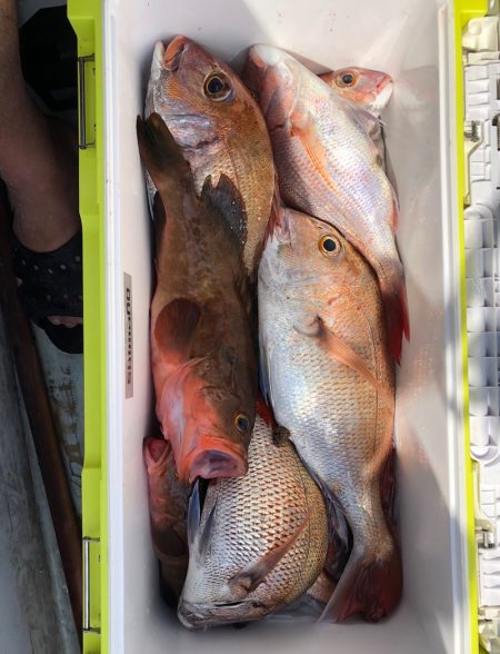 フィッシング キッタカ 釣果