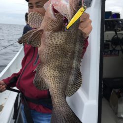 渡船屋たにぐち 釣果