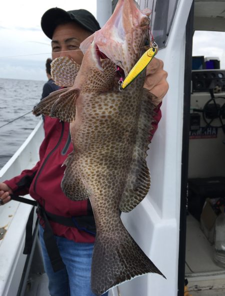 渡船屋たにぐち 釣果