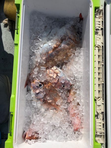 フィッシング キッタカ 釣果