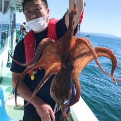 ヤザワ渡船 釣果