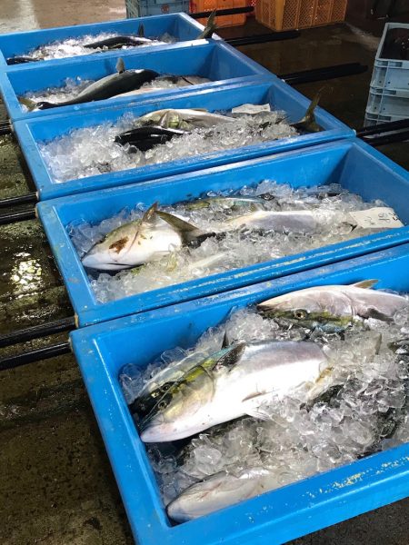 第二　つれたか丸 釣果