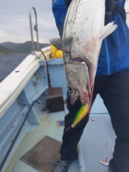 清和丸 釣果