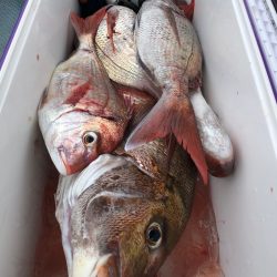 第二八坂丸 釣果