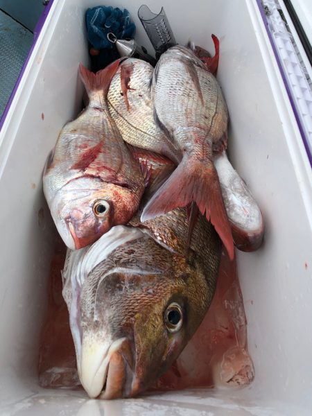 第二八坂丸 釣果