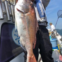 フィッシング キッタカ 釣果