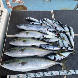 Monster Rush! 釣果