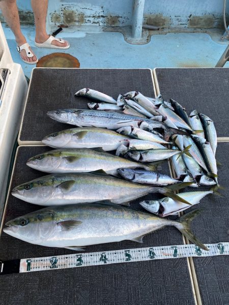 Monster Rush! 釣果