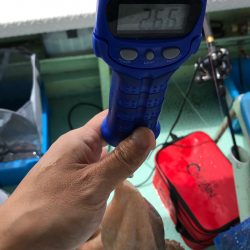 ヤザワ渡船 釣果