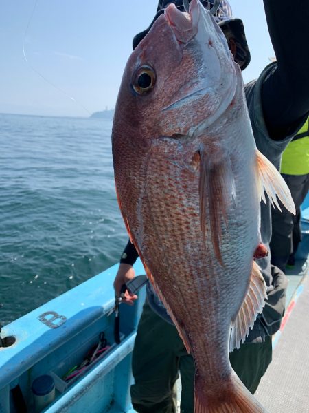 みやけ丸 釣果