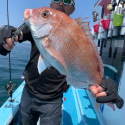 みやけ丸 釣果