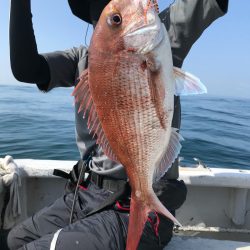 ランスルー 釣果