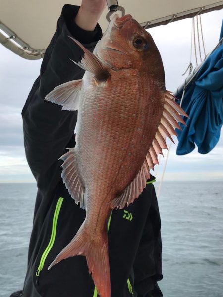 大雄丸 釣果