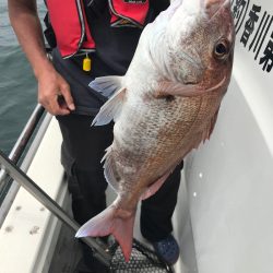 遊漁船メテオ 釣果