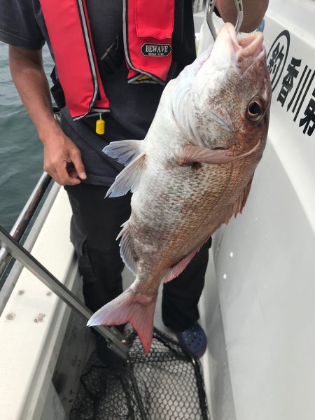 遊漁船メテオ 釣果