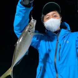 エヌスタイル 釣果