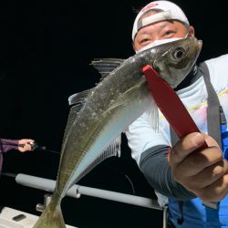 エヌスタイル 釣果