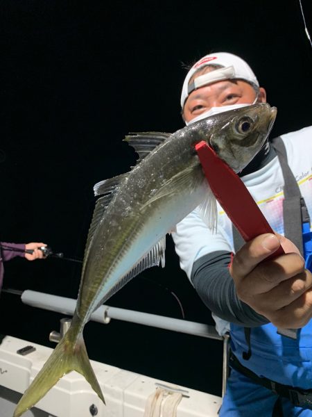 エヌスタイル 釣果