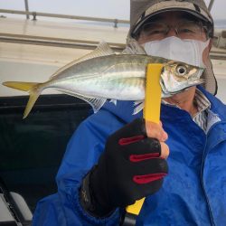 ヤザワ渡船 釣果