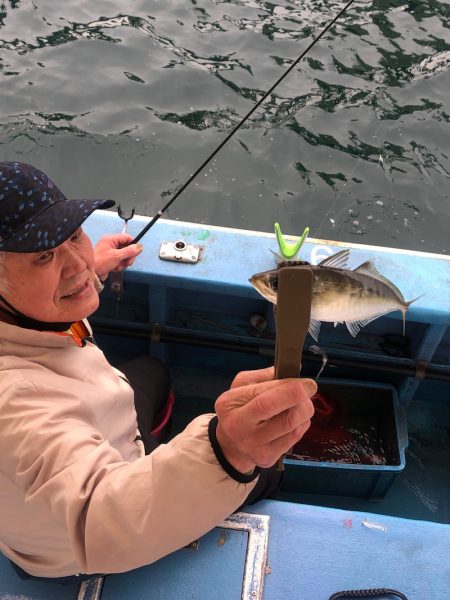 ヤザワ渡船 釣果