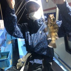 ヤザワ渡船 釣果