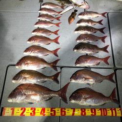 遊漁船高橋 釣果