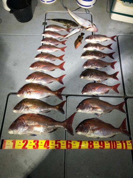 遊漁船高橋 釣果