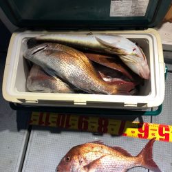 遊漁船高橋 釣果