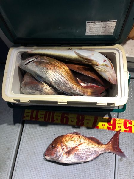 遊漁船高橋 釣果