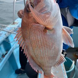 みやけ丸 釣果