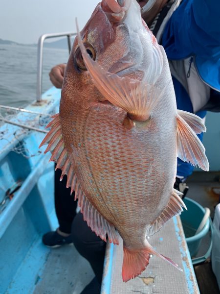 みやけ丸 釣果