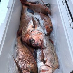 第二八坂丸 釣果