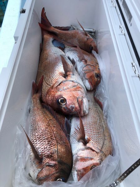 第二八坂丸 釣果